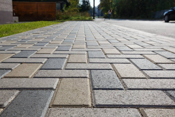 Best Custom Driveway Pavers  in Ives Estates, FL