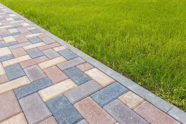 Best Interlocking Driveway Pavers  in Ives Estates, FL